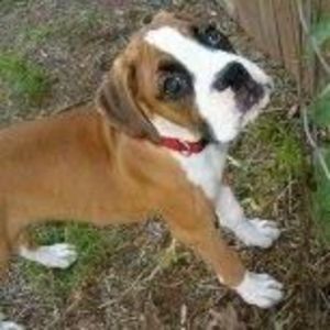 Meet your Posher, Lorrie